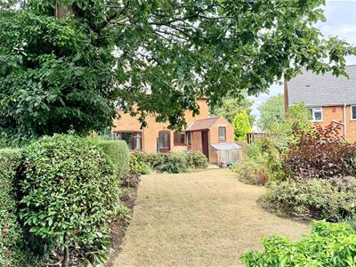 Picture 15